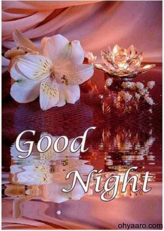 Good Night Flowers Image - Flower Good Night Wallpaper - Good Night Image  For Status