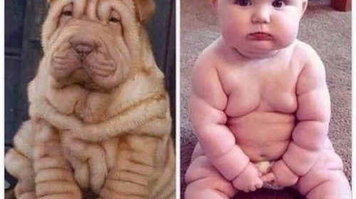 Latest Funny Baby Picture