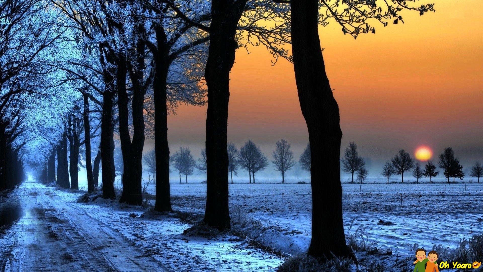 Welcome to WallpaperPlay! Here you can locate the best nature work