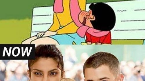Priyanka Chopra Memes in Hindi – Priyanka Chopra Latest Funny Pic