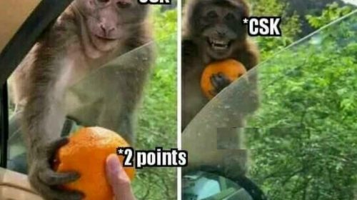 CSK vs RCB 2020 Memes