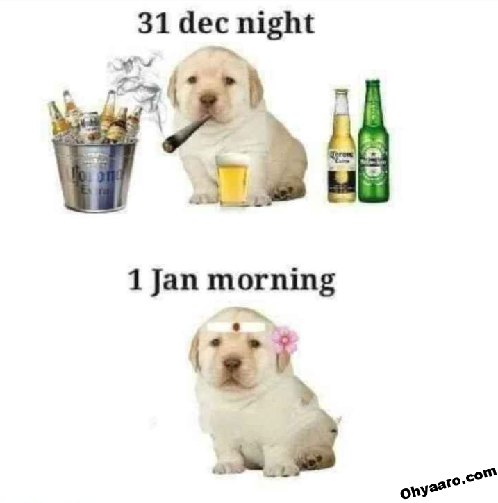 Happy New Year Funny Picture