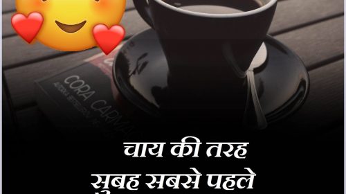 Chai Lover Hindi Quotes