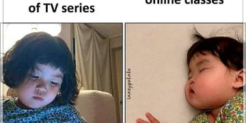 online classes memes india