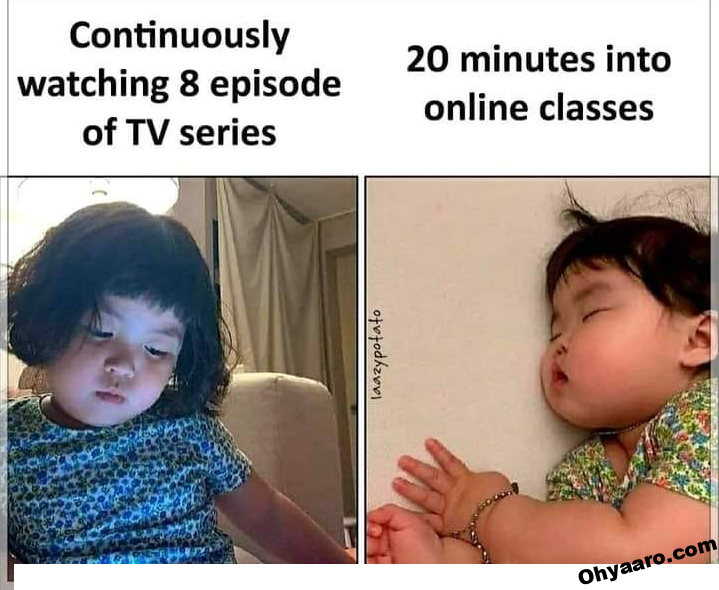 250 Best Class Memes Ideas Class Memes Memes Humor - vrogue.co