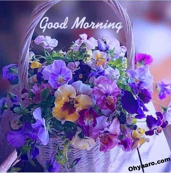 Good Morning Wallpaper - Good Morning Flowers Images - Oh Yaaro
