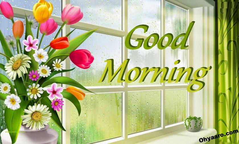 Download Good Morning Wallpaper for WhatsApp - Oh Yaaro