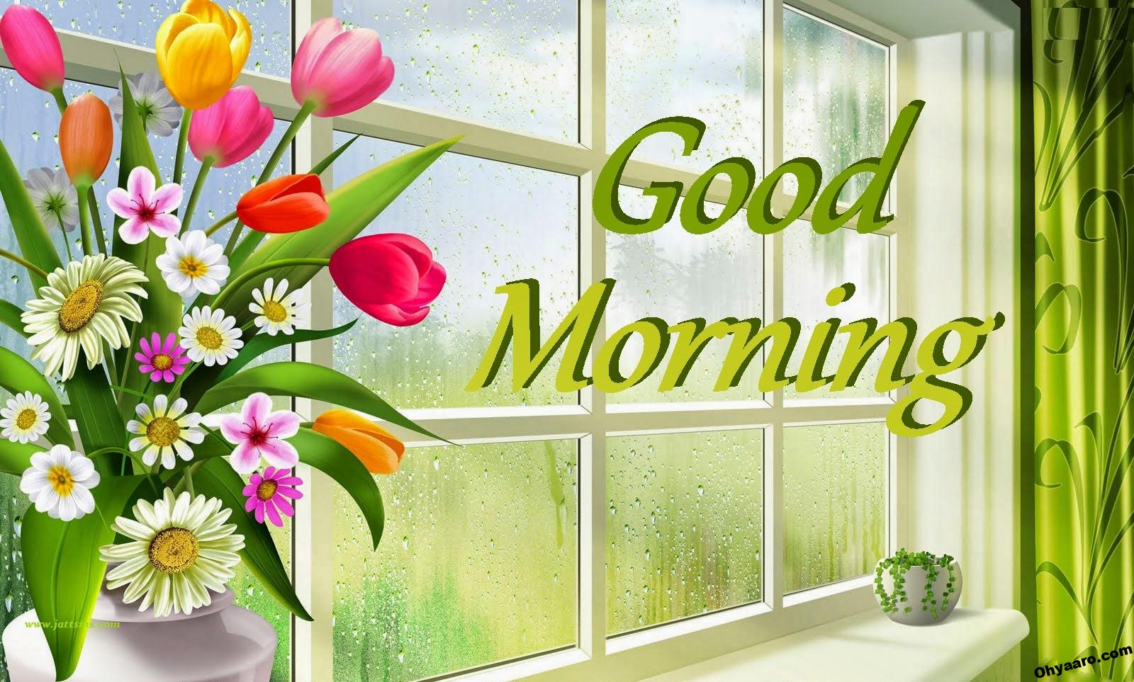 Download Good Morning Wallpaper for WhatsApp