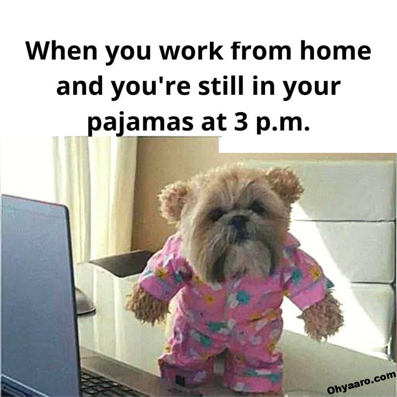 Work From Home Memes