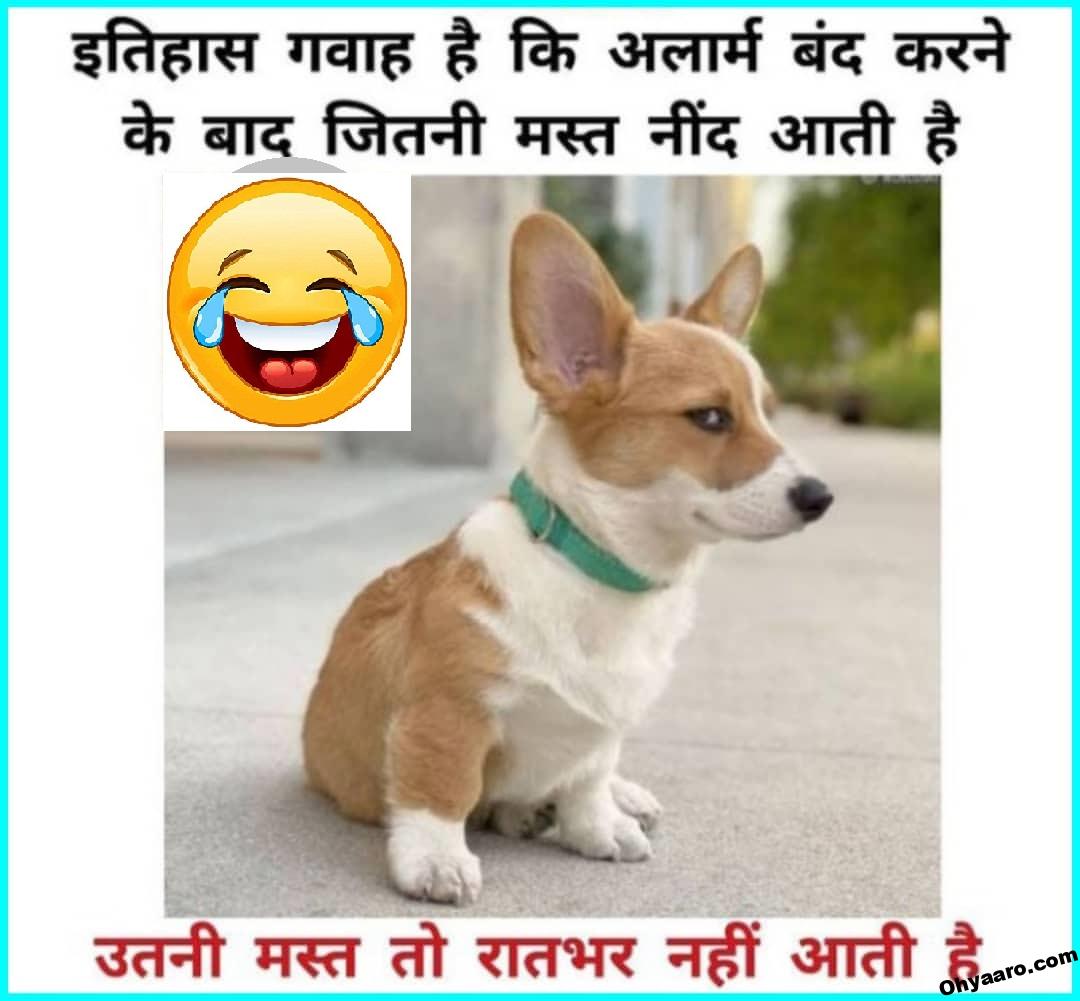 Funny WhatsApp Animal Jokes Picture - Download Funny Jokes