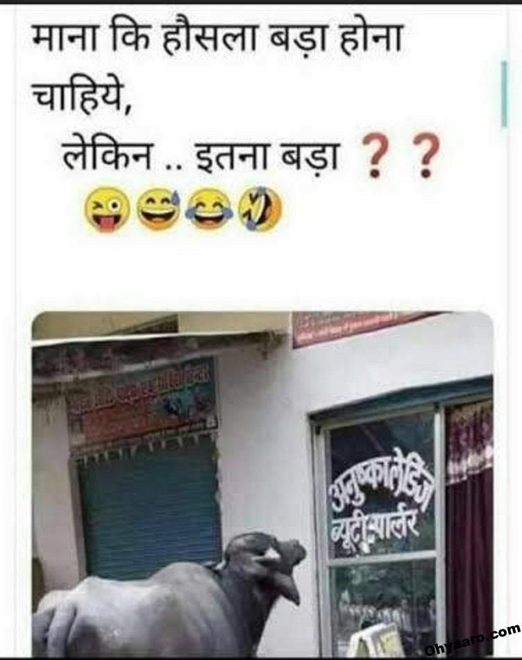 Funny Photo for WhatsApp Status