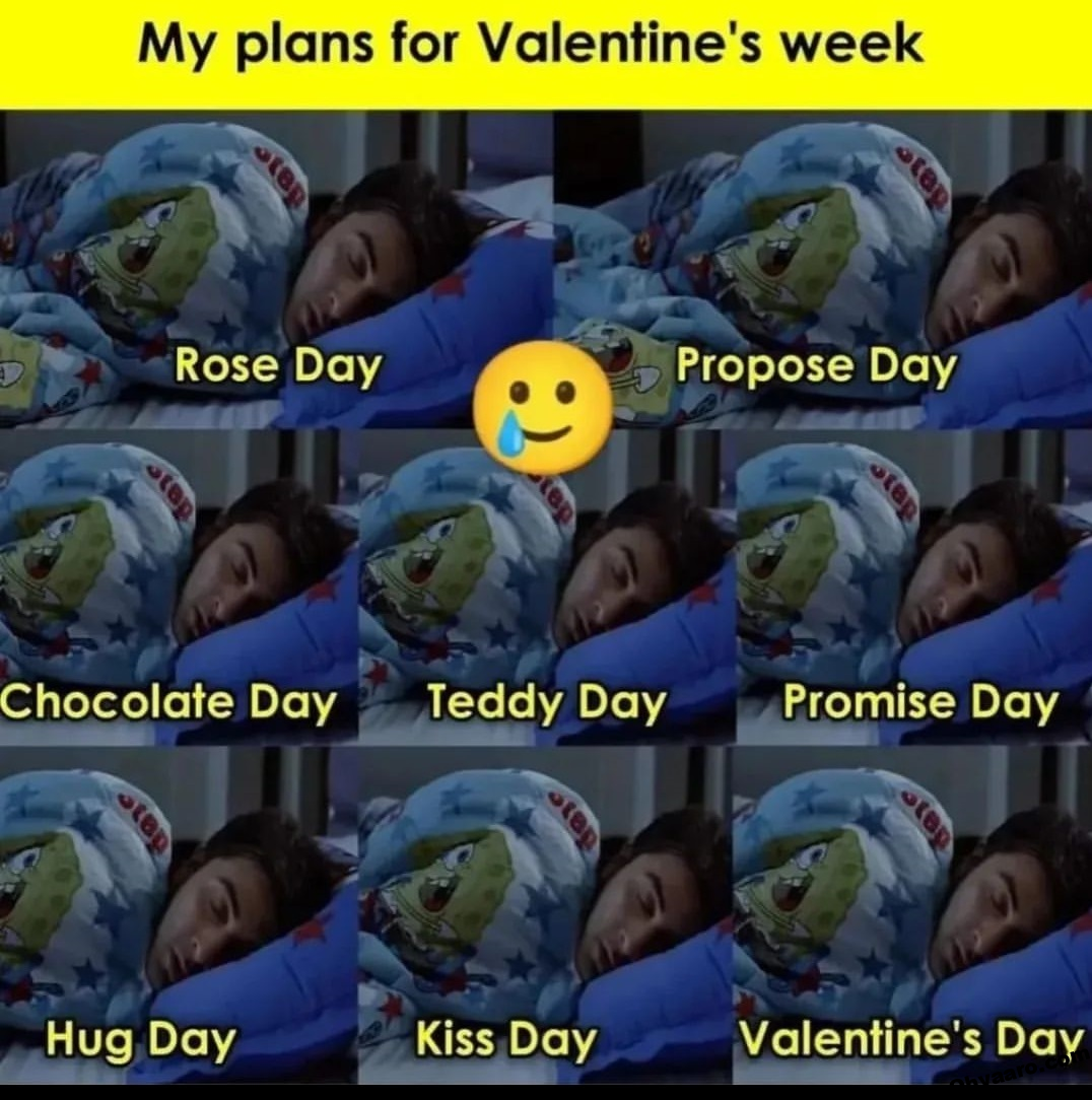 Funny Valentines Day Memes for Singles - Valentines Day Meme