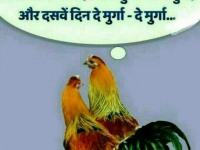 Funny Hindi Memes