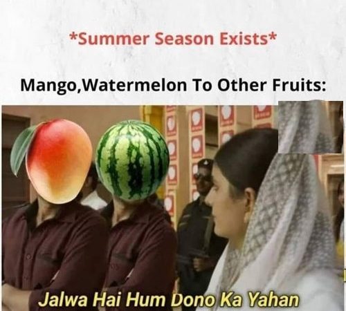 Latest Funny Memes for Summer Season