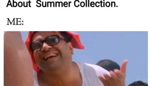 funny memes for summer collection