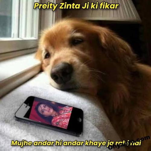 Preity Zinta Funny Memes